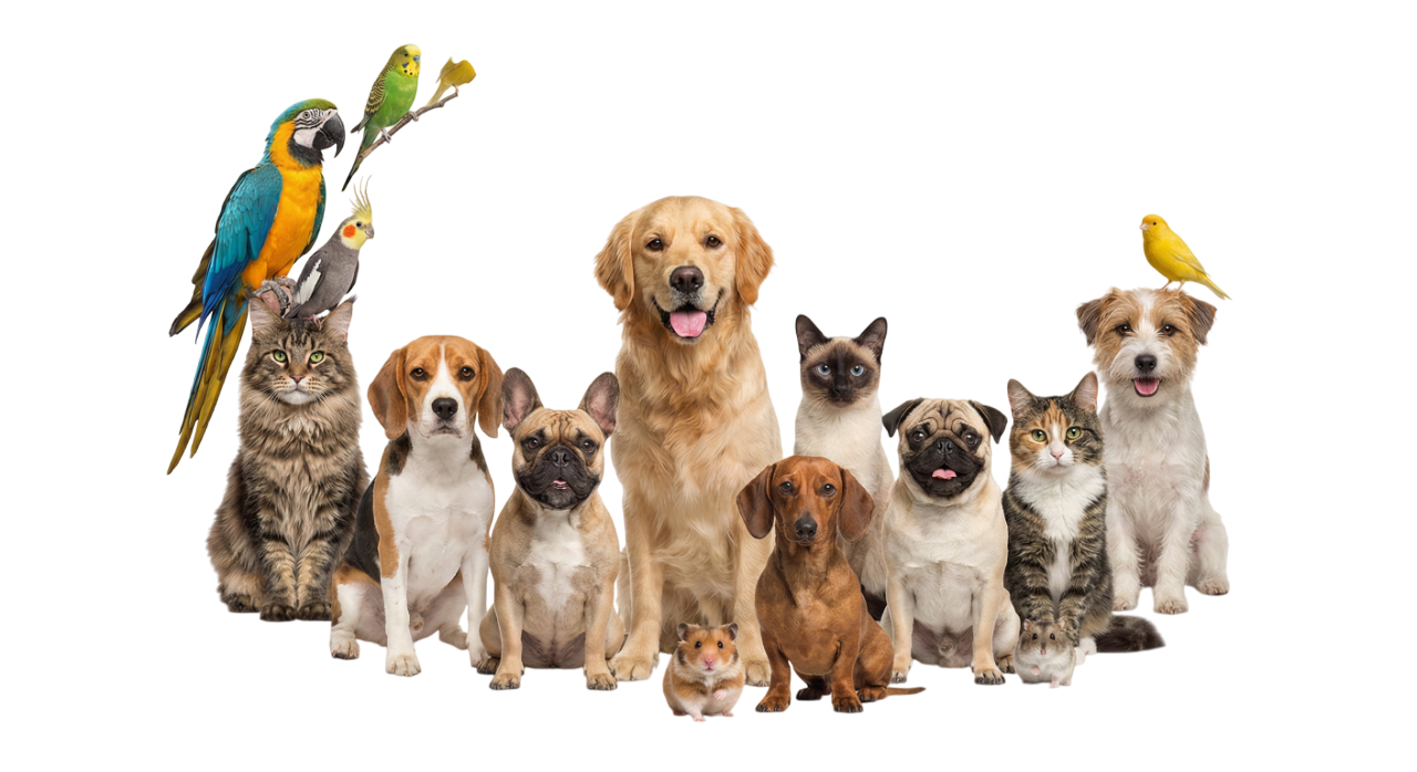 Mascotas felices
